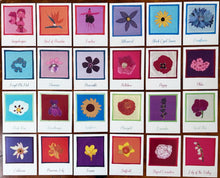 Load image into Gallery viewer, SECRET MESSAGES CARD DECK by DANA PEEBLES