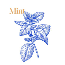 Load image into Gallery viewer, SELF REFLECTION TEA