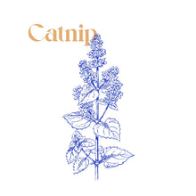 Load image into Gallery viewer, SELF REFLECTION TEA