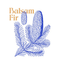 Load image into Gallery viewer, SELF REFLECTION TEA