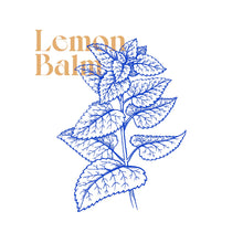 Load image into Gallery viewer, SELF REFLECTION TEA